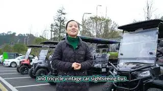 0413 golf cart factory