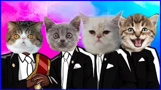 Dancing Disco Cats - Coffin Dance Song (COVER) - Cats USA