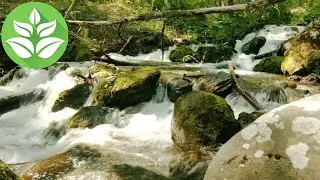 Небольшая горная река с водопадами и порогами. Звуки воды и белый шум ручья. 10 часов релакса.