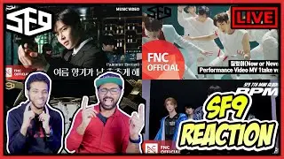 FIRST TIME REACTING TO SF9 - NOW OR NEVER (PERFORMANCE VIDEO), GOOD GUY, SUMMER BREEZE, RPM REACTION