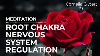 ✨Root Chakra & Pelvic Safety Meditation - Somatic and Trauma-Informed✨
