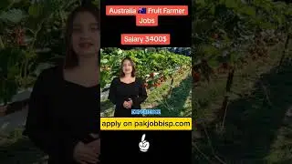 fruit picker jobs available in Australia apply now #hiringitaly #saudijobs #painterjobs #gulfjobs
