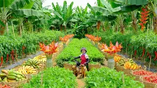 Relax With Harvest: Tea, Green Brown Bananas, Roselle, Horn Chili, Sugarcane, Lemon, Purple Eggplant