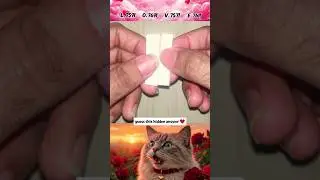 guess the hidden answer ❤️ #cbum #guess #cat