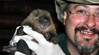 Baby Beaver Kits at Wildwood