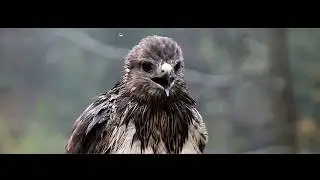 Tierra Estella-Lizarraldea. Las Cuatro Estaciones, el documental.