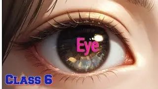 #How Your Eye Works! (#Class 6) ✨ #Simple Explanation of Eye Parts & Vision