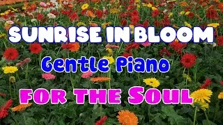Sunrise in Bloom &ndash; Gentle Piano for the Soul | Elder Kind Living