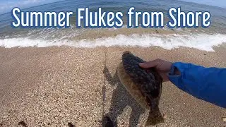 Summer Flukes (Flounder) from Shore Long Island NY