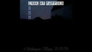 Lake of Puppies - Put Your Clothes On (History Lesson) [Live]