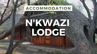 Jenman Safaris and N'Kwazi