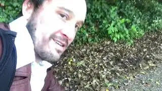 Phil Ellis - Self Isolation Reviews - episode 39 - Nature kisser
