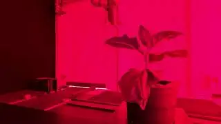 Multispectral #imaging for physiological #phenotyping