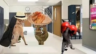 POV kehidupan orang susah full •meme kucing sedih