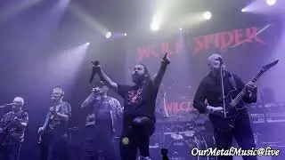 WOLF SPIDER - Mustapha (Queen Cover) - live @ Tama, Poznań 23.01.2026 4K 60fps