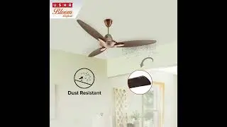Usha Bloom Daffodil Ceiling Fan: The Art of Air with Anti-Dust Technology