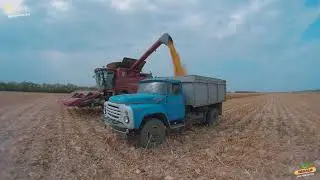 Уборка кукурузы Dekalb