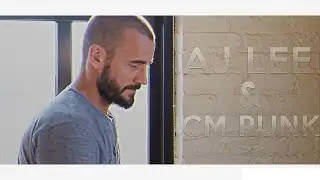aj lee and sm punk ~ angel