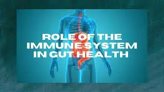 Gut Barrier Integrity & Probiotics