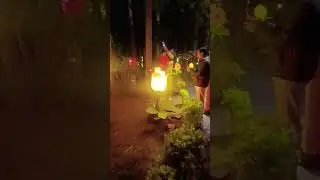 Beautiful Roze Flowers Lighting at Rajeev Gandhi Glow Garden, Trimurti Nagar, Nagpur #tourism