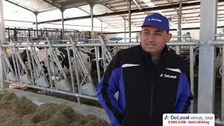 La nuova soluzione DeLaval Batch Milking.