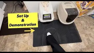 This Cat Litter Mat Solves Messy Floors Instantly