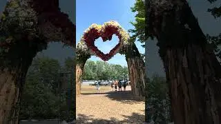 MAKE ELECTRIC FOREST 2026 YOUR FESTIVAL DESTINATION THIS SUMMER @electricforest #electricforest