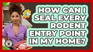 How Can I Seal Every Rodent Entry Point In My Home? - Food Safety Kitchen