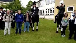 Förste/Nienstedt: Schüttenhoff 2015, Aufmarsch und Manöverkritik.
