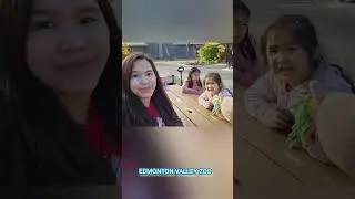 Edmonton Valley Zoo #amazing #shortsfeed #ytshorts #yt #like #subscribe #zoo #fun #canada #shorts