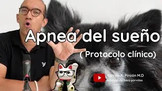 APNEA DEL SUE&Ntilde;O (protocolos cl&iacute;nicos) | Acupuntura para p&aacute;rvulos