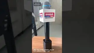 Wireless boom mic for reporters