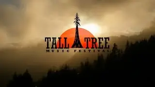 Tall Tree Music Festival - 2016 Tickets Now Available