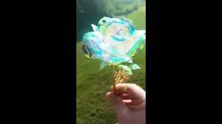 Galaxy rose