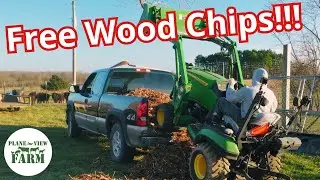I'm Using Free Wood Chips for Livestock Deep Bedding