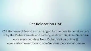 Pet Relocation UAE