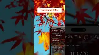 🎉 Timberwolf Server &ndash; Insider Preview 2 f&uuml;r 4.8 ist da! 🚀