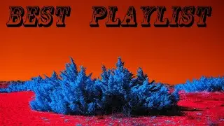 Best Playlist