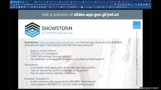7.3 SNOMED CT Terminology Server (snowstorm)