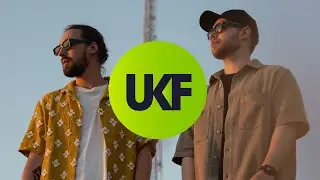 Synergy - Illuminate