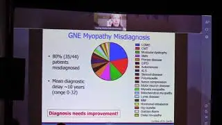 GNE Myopathy Disease Mechanism-  Dr. Marjan Huizing