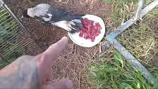 Munch time! 