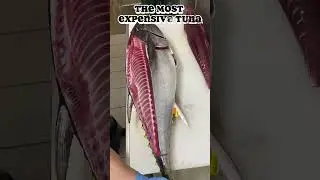 Process of Cutting 100Kg Tuna, Check Out This Expert Technique!