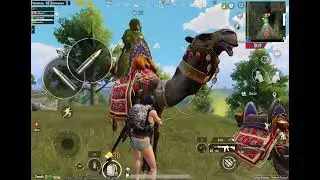 🐫💥 PUBG Madness with a Camel Twist! | Crazy Kills, Funny Moments & Victory! 🎮🔥