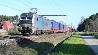 RTBC 193 173 in Langdorp op 20-1-2026.