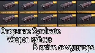 Открытие Syndicate Weapon кейсов в кейсе симуляторе :Standoff 2 