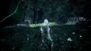 What happens if you shoot an animal with a berserk dart??? (Assassins Creed Blackflag)