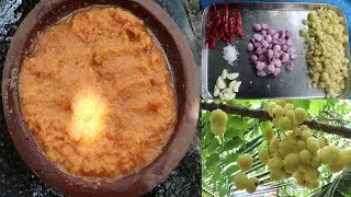இந்த 4 பொருள் மட்டும் இருந்தால்  போதும் கூட்டும் வேண்டாம் குழம்பும் வேண்டாம் நெல்லிக்காய் துவையல்