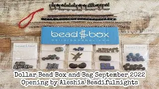 Dollar Bead Box and Bag September 2022 Opening