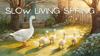 Gentle Farm Morning 🐦 Calm Music for Slow Mornings & Peace
